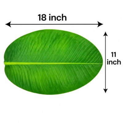 ৬ পিস কলা পাতা ডাইনিং টেবিল ম্যাট / 6 Pcs Banana Leaf Table Mat Set
